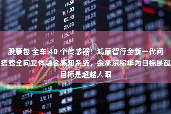 股腰包 全车 40 个传感器！鸿蒙智行全新一代问界 M9 搭载全向立体融合感知系统，余承东称华为目标是超越人眼