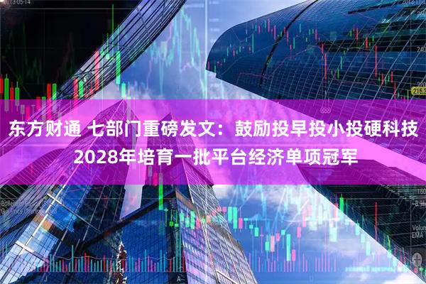 东方财通 七部门重磅发文：鼓励投早投小投硬科技 2028年培育一批平台经济单项冠军