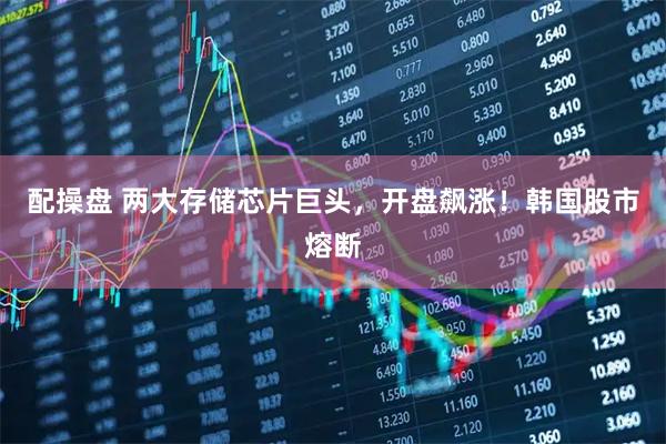 配操盘 两大存储芯片巨头，开盘飙涨！韩国股市熔断